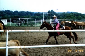 Team Cattle Penning